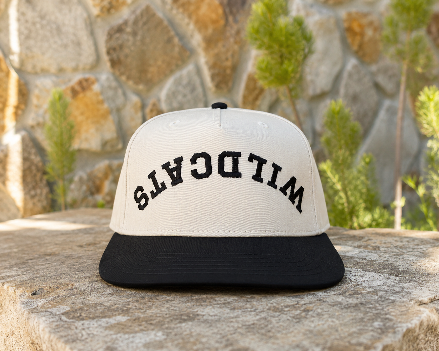 Reverse Wildcat Hat